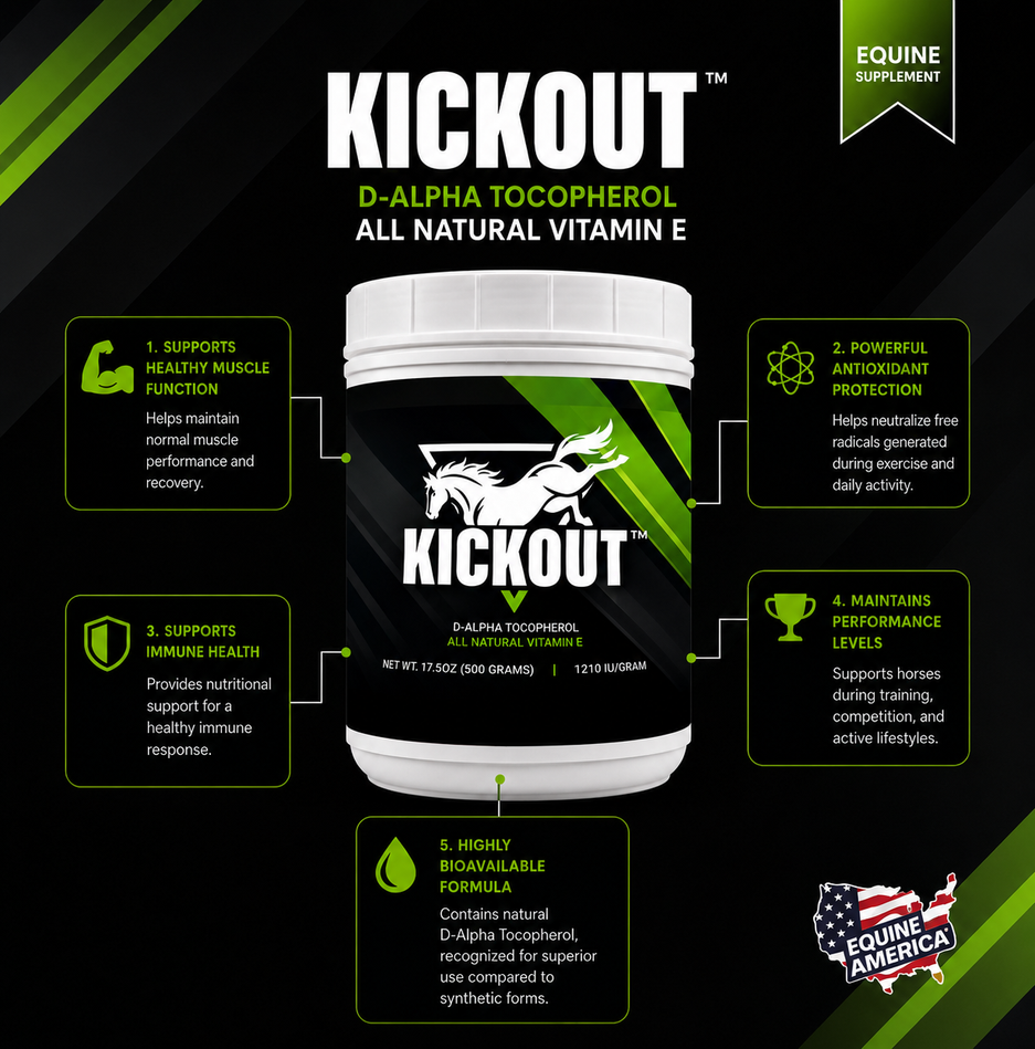 Outstanding Features Image